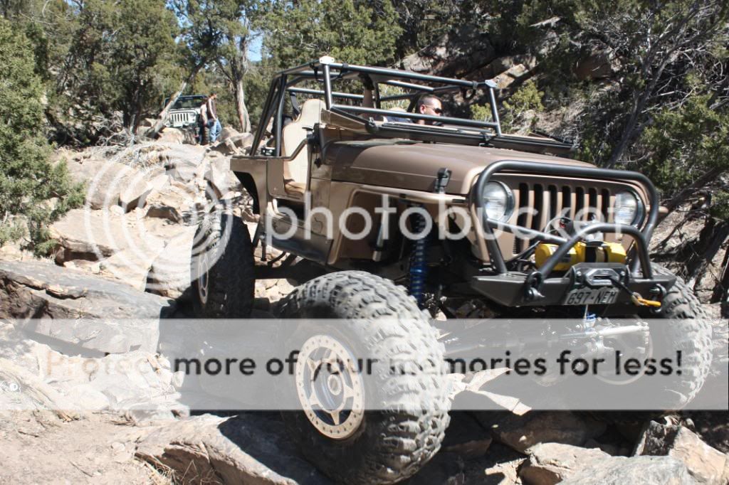 Next time you see the White Widow - Page 3 - JK-Forum.com - The top